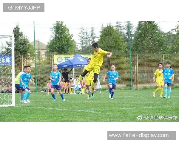 绿茵巨星风采荟萃璀璨群像见证足球荣耀时刻