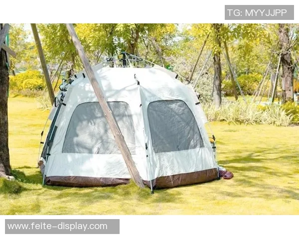 如何挑选足球明星卡片及投资潜力分析的全面指南